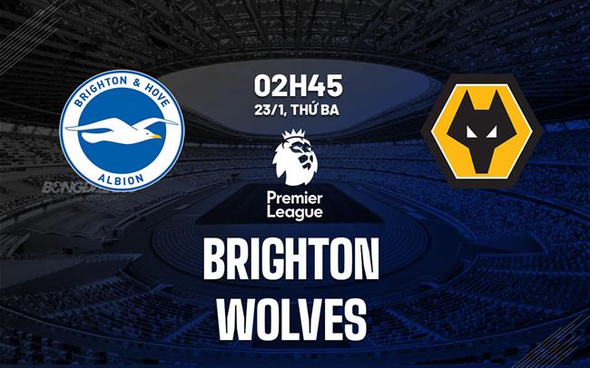 Brighton vs Wolves